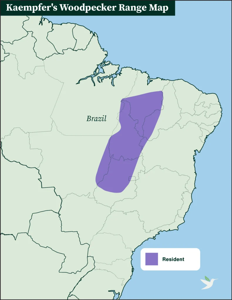 Kaempfer's Woopecker range map.