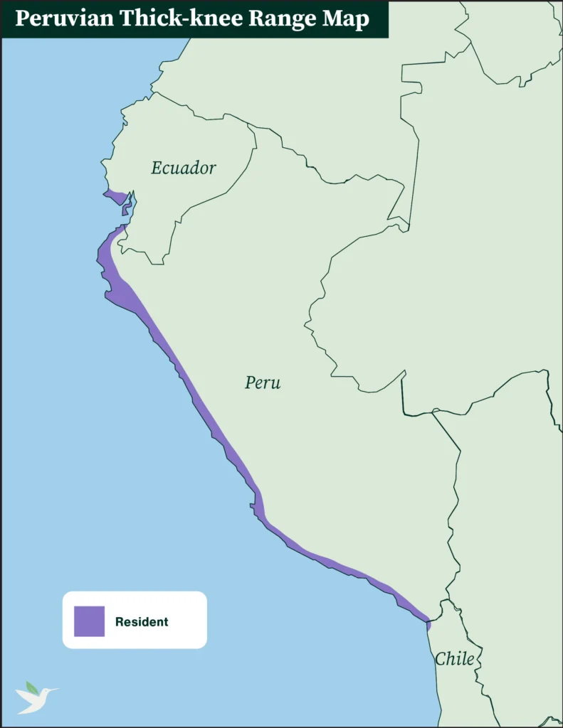 Peruvian Thick-knee range map.