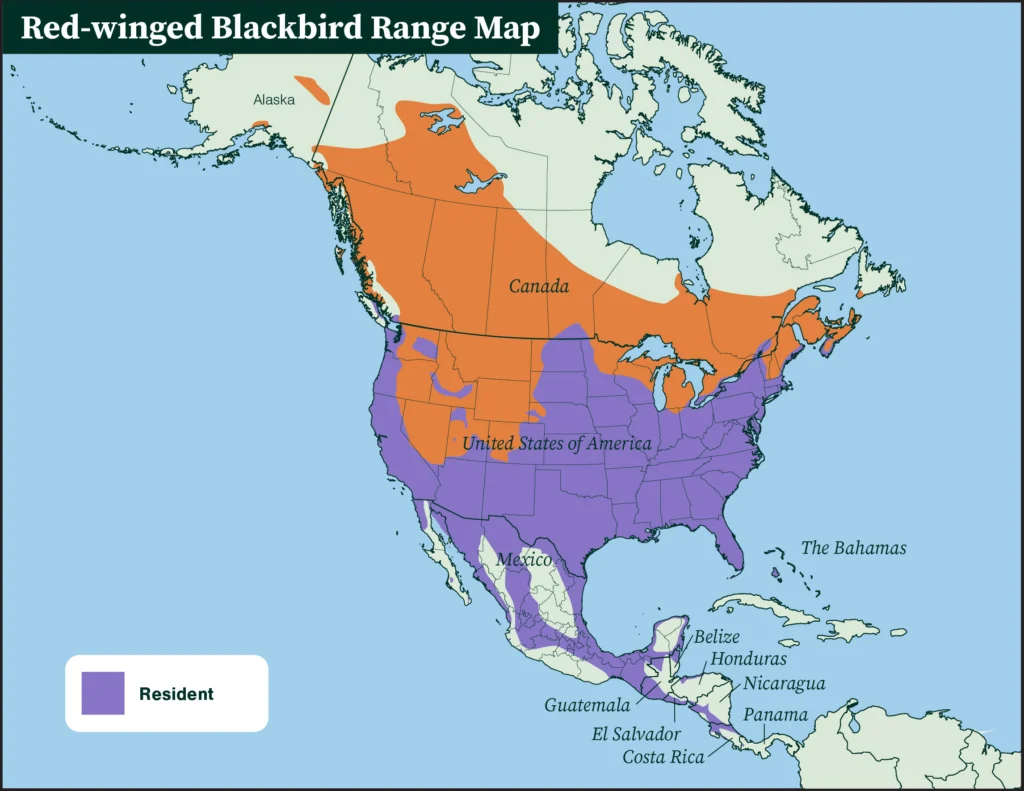 Red-winged Blackbird range map
