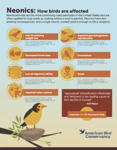 Fact Sheet Neonics How Are Birds Affected (August 2026)