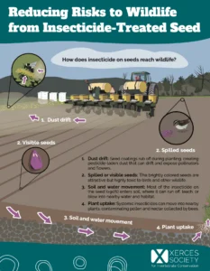 Fact Sheet Reducing Risks to Wildlife from Insecticide-Treated Seed