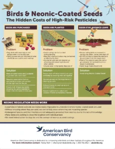 Infographic ABC Birds and Neonic Seeds (August 2026)