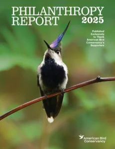 Philanthropy Report 2025 Cover