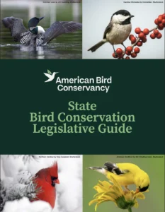 State Bird Legislative Guide in graphic text surrounded by images of birds.