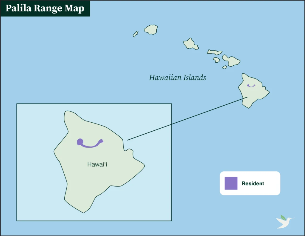 Palila range map