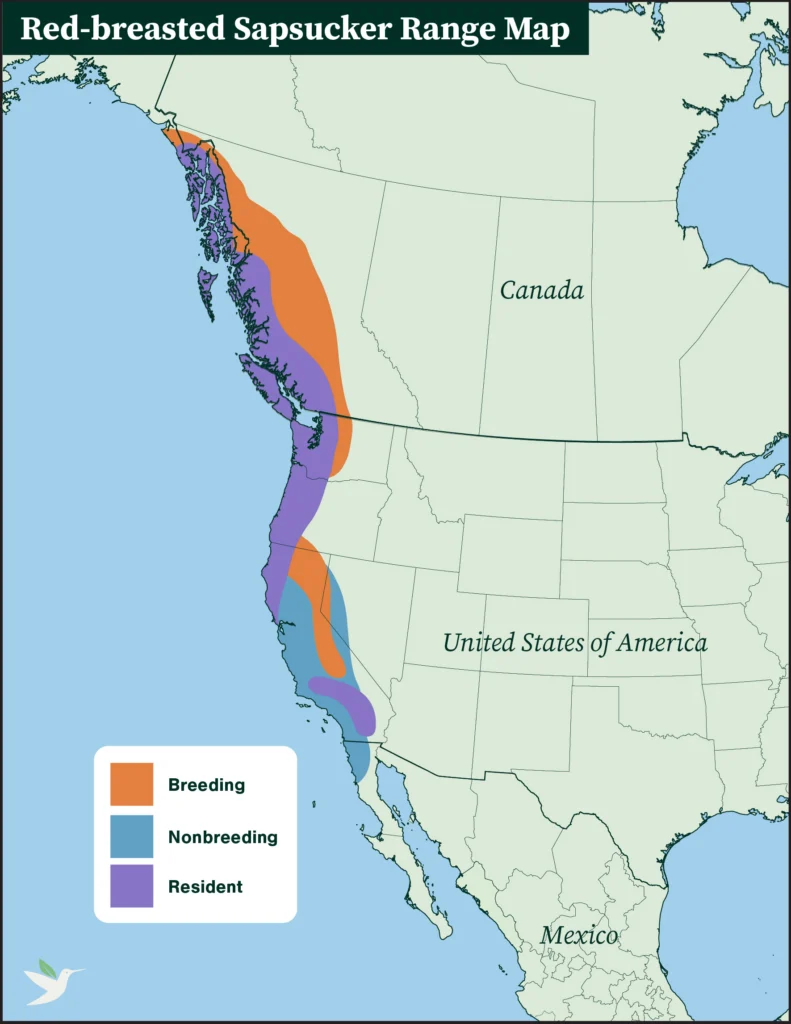 Red-breasted Sapsucker range map.