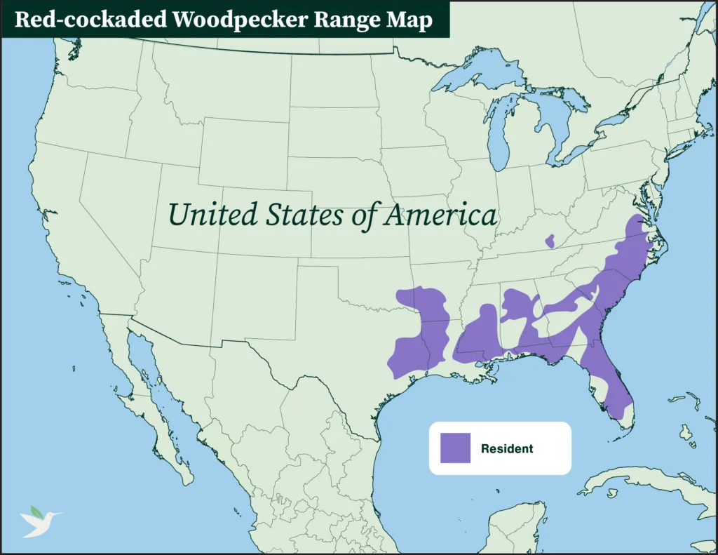 Red-cockaded Woodpecker range map.