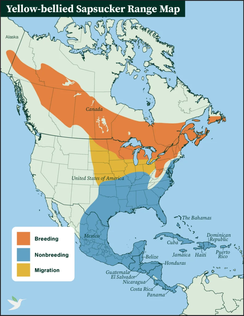 Yellow-bellied Sapsucker range map.