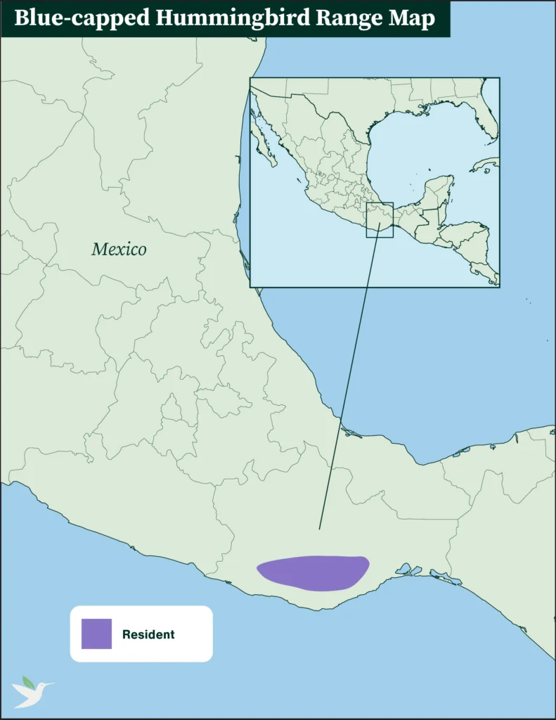 Blue-capped Hummingbird range map.