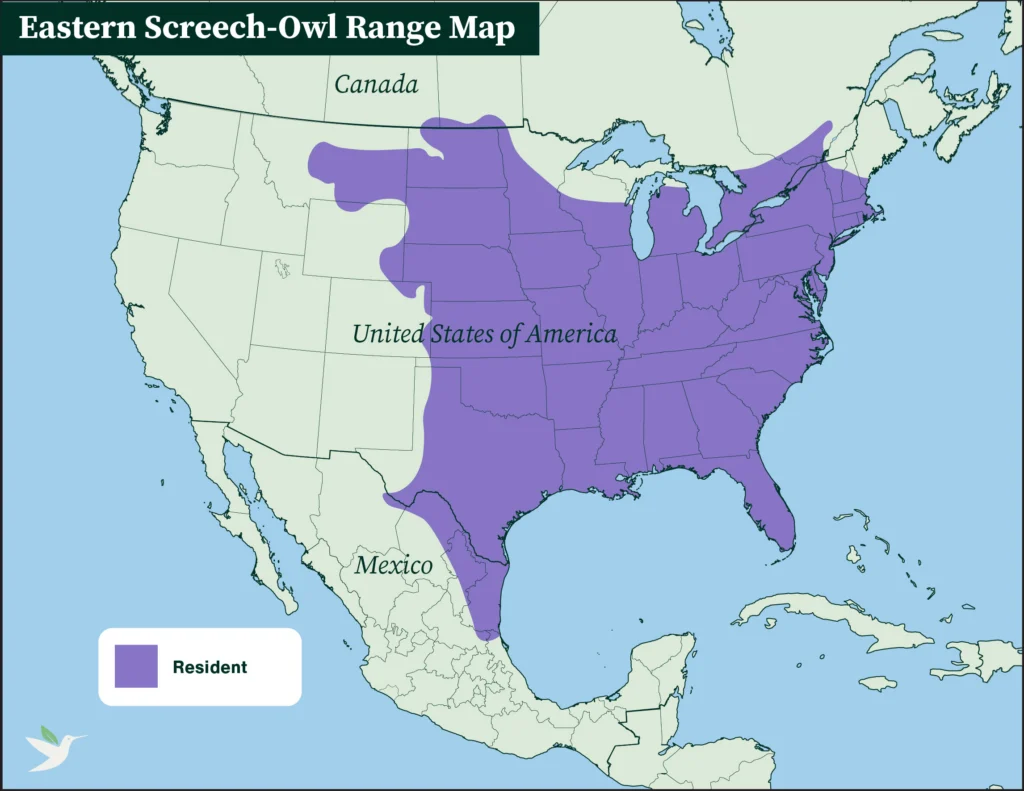 Eastern Screech-Owl range map.