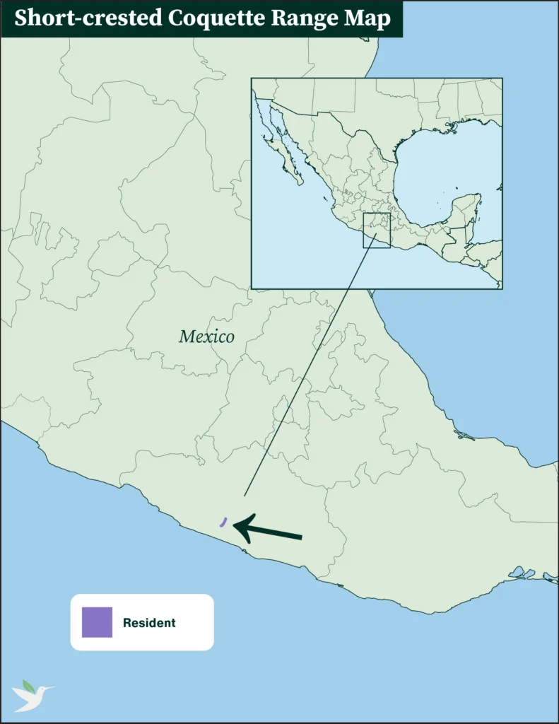 Short-crested Coquette range map.