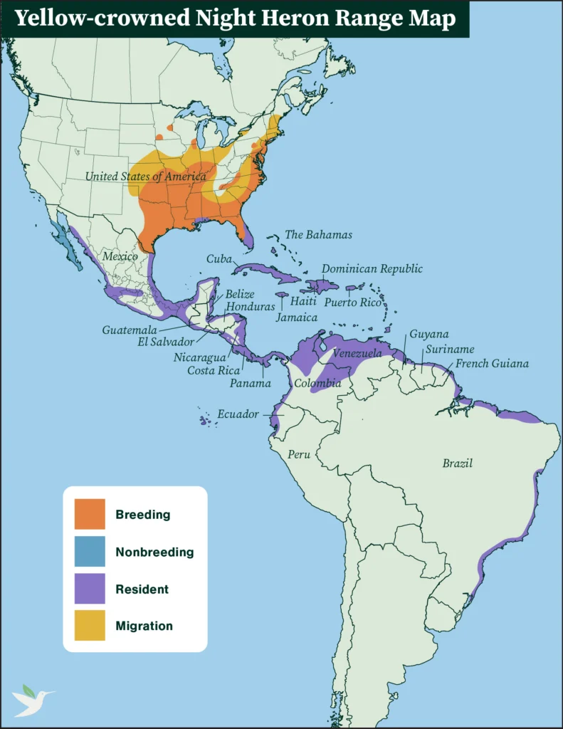 Yellow-crowned Night Heron range map