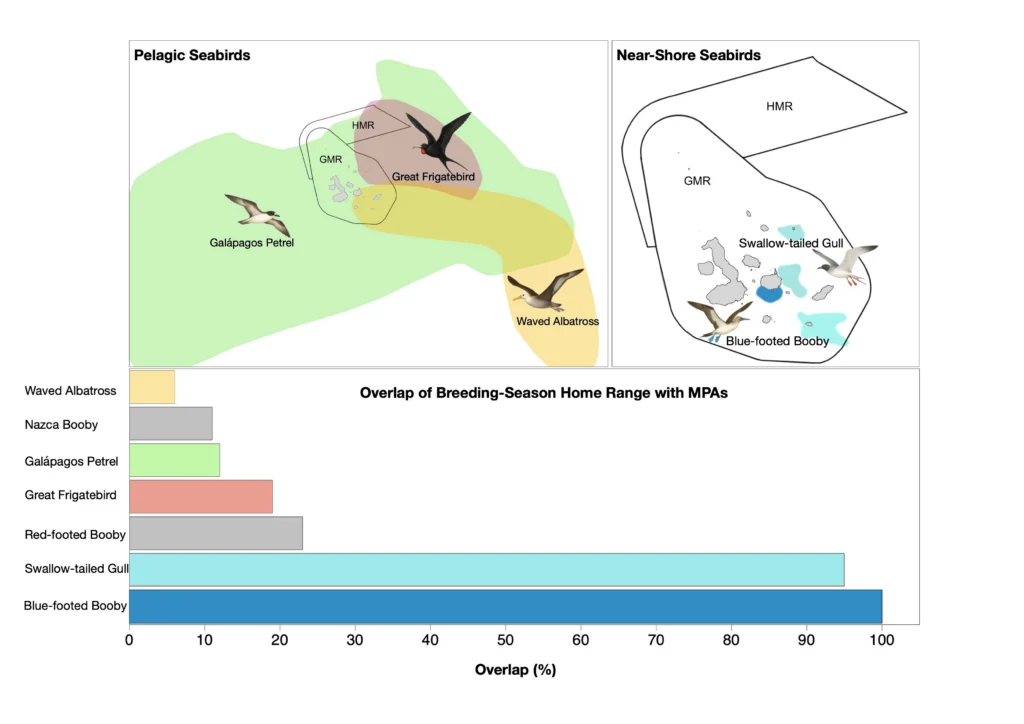 Chart showing ranges of pelagic seabirds and near-shore seabirds. This chart is part of a study by American Bird Conservancy researchers published in Bird Conservation International. Chart courtesy of Sebastian Cruz.