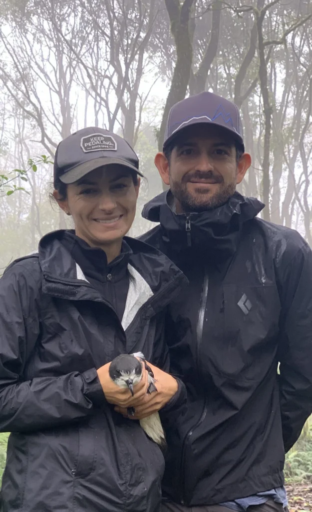 Carolina Proaño and Sebastián Cruz, a researcher with American Bird Conservancy, with a Galápagos Petrel. They are working to conserve the seabirds that nest only in the highlands of the Galápagos Islands. Both are trained and licensed to handle birds. Photo courtesy of Sebastián Cruz.