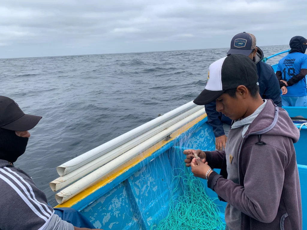 Ecuadorian fishers in the Pacific use the NISURI system of PVC tubes to set fish hooks with cement weights that prevent seabirds from grabbing bait. American Bird Conservancy scientists developed the system to address the threat of bycatch. Photo by Ivonne Becilla.
