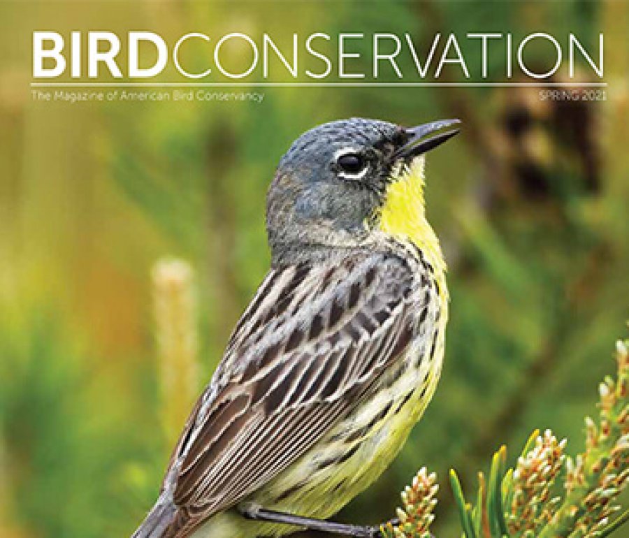 Publications American Bird Conservancy