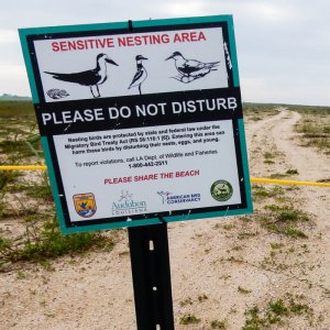 Cameron-Parish, LA sign, Kacy Ray. coastal bird solutions