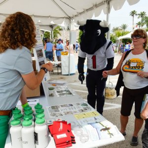 Kristen Vale at the Bay Day Festival, Texas. Coastal bird solutions