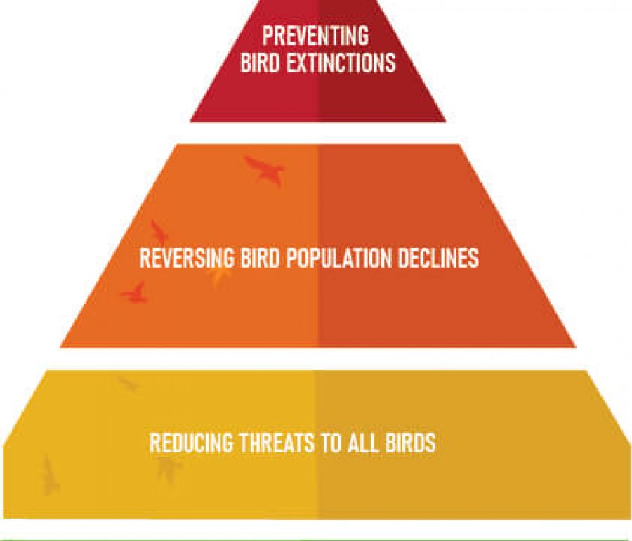 Conservation Scorecard