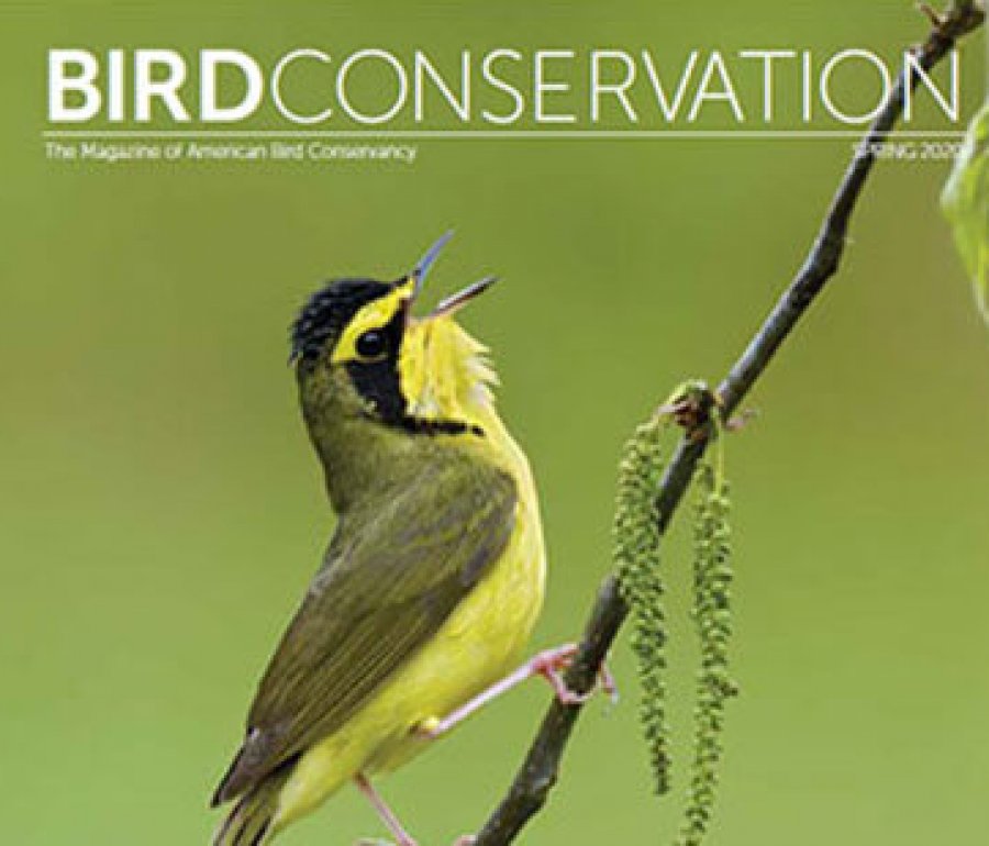 Publications | American Bird Conservancy